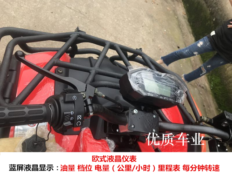 Big Bull ATV bốn bánh off-road 250cc bốn bánh ổ trục tất cả các địa hình leo núi người lớn đôi xe máy ATV