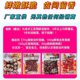 Jing Hanqing's same style grasshopper fried ready-to-eat fresh locust edible insects gourmet barbecue