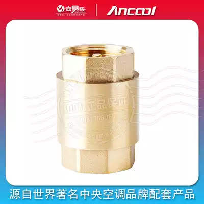 ANCOOL vertical Brass Check valve check valve check valve stainless steel spring DN15 ~ DN50