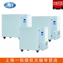 Shanghai Yiheng BPG-9050AH BPG-9050BH high temperature blast drying oven imported Fuji controller