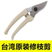 Sagawa Tian imported 130D branch scissors fruit branch scissors horticultural pruning branch scissors garden scissors garden scissors