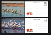 50th Anniversary of the Establishment of Diplomatic Relations between China and the West Hengshui Lake Fuente Piedra Lake Postcards Set of 2