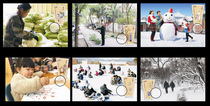 2019 Twenty-four solar terms (4) group A photographic version of postcards can make Limit Films