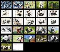 Panda themed postcard set of 26