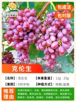 В этом году 12-летние саженцы (Kronsheng) имели плод 10 килограммов.