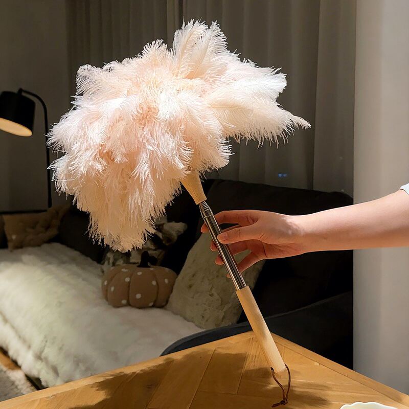 Feather Duster with Ostrich Feathers, Static Electricity Dust Remover, Household Extendable Long Handle for Cleaning Dust in High Places and Gaps, a Cleaning Tool