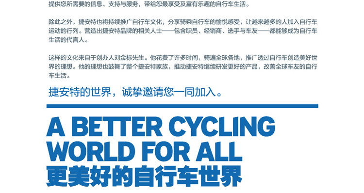 Clé pour réparation vélo GIANT - Ref 2302458 Image 24