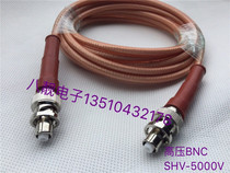 High voltage test line SHV5000V bilateral high voltage BNC male connection line BNC5 kV high voltage test line