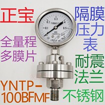 Shanghai Zhengbao YTP-100 diaphragm pressure gauge stainless steel shock-resistant membrane MF flange YNTP-100BF thread ML