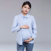 Maternity shirt womens pure cotton long-sleeved Korean style work wear professional wear covering belly striped breastfeeding loose large size spring and autumn