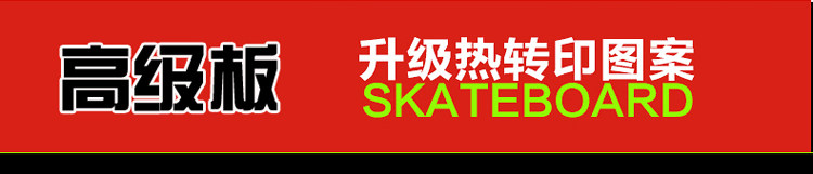 Skateboard pour homme femme enfant - Ref 2594463 Image 31