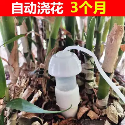 Dropper watering flowers lazy flower succulent plant flower pot automatic watering device drip irrigation facility watering flower dripper business trip