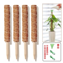  Big leaf Big green dill Middle column Special column Plant climbing palm column Coconut palm stick Coconut palm column Climbing rattan column Climbing rattan pole