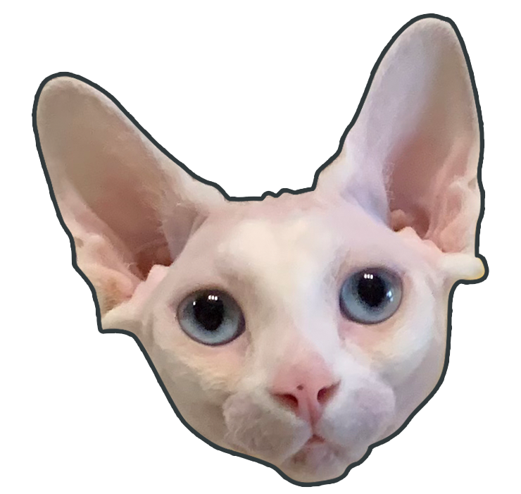 Crispy Shark Shop to make up the difference