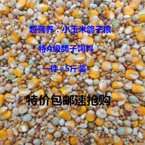 5 kg special Class A pigeon food Corn young pigeon feed Bird food Carrier pigeon ornamental pigeon meat pigeon food