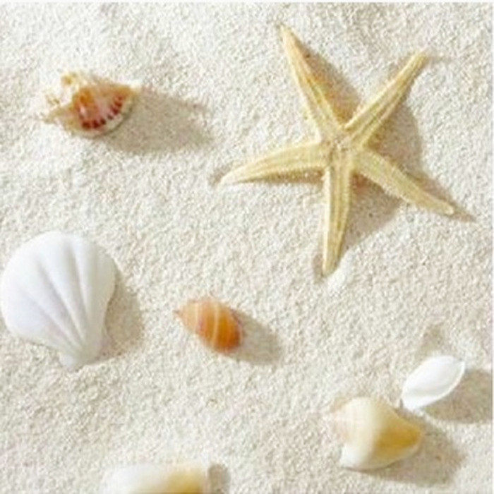 Philippine sand Hermit crab bottom sand Coral sand shell sand White sand fish tank Decorative landscaping sea tank Three lakes cichlid fish