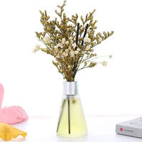 Османтус Фрэгранс