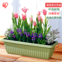 Alice rectangular large embossed flower pot Alice lazy home balcony resin vegetable vegetable pot