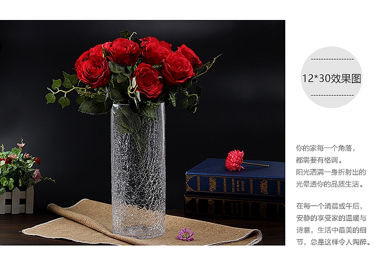 Hoa bình thủy tinh pha lê trang trí hoa sắp xếp nước văn hóa phong phú tre lily hoa khô mô phỏng băng crack lily bình - Vase / Bồn hoa & Kệ chậu treo ban công