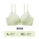【Persia Chrysanthemum】 Mint Green