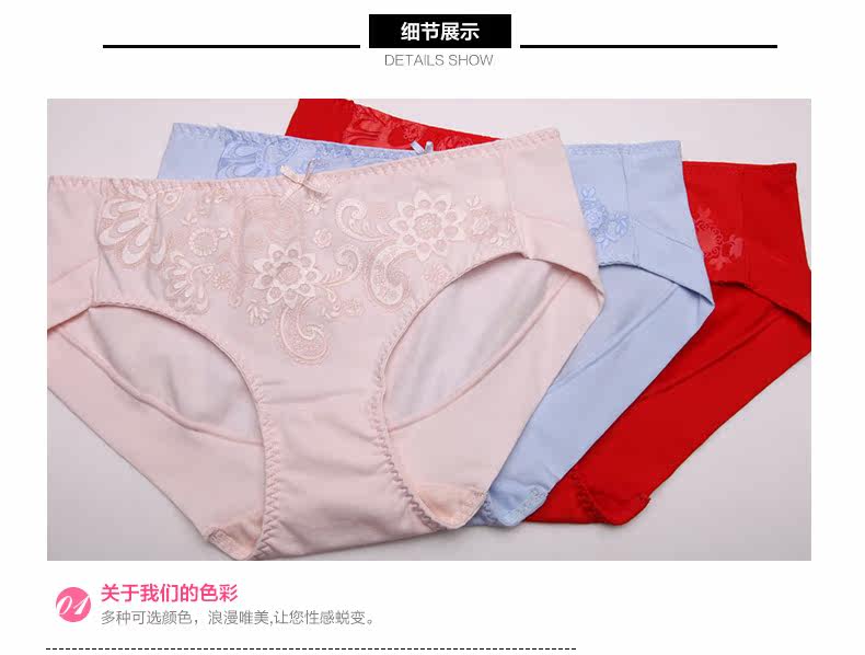 Slip 2K6511 en coton - Ref 668246 Image 11