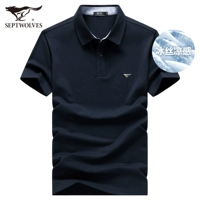 101 (тибетский цин) -Bingshi Edition