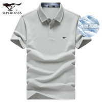 003 (средний серый) - издание льда шелкового издания