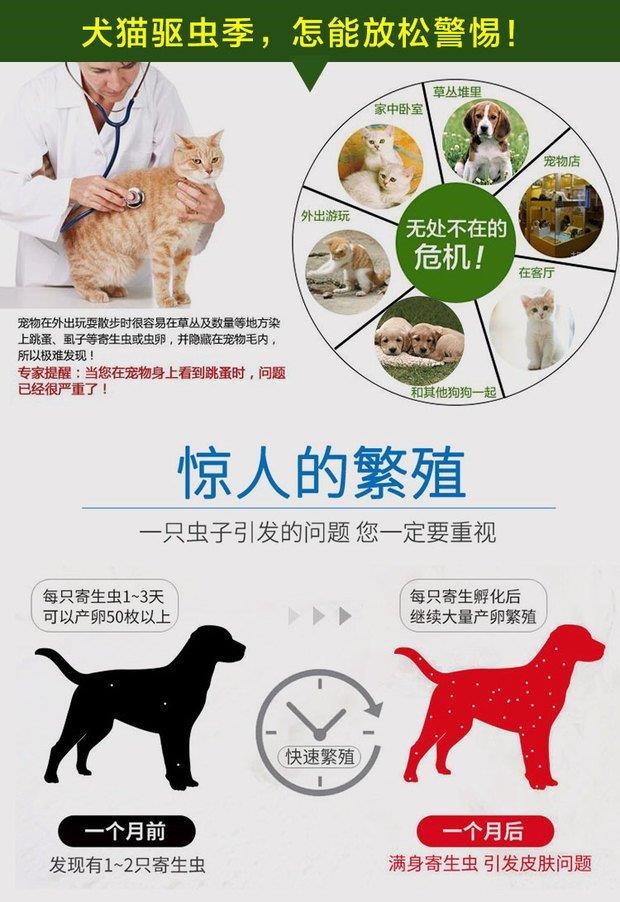 Chó tẩy giun trong ống nghiệm với thú cưng đến bọ chét mèo và chó con chó lông Teddy giết chết rệp - Cat / Dog Medical Supplies xilanh tiêm
