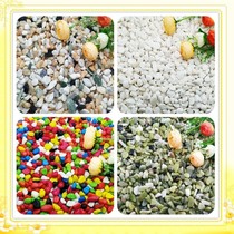 Fleshy flower pot Paving colored stone Gardening decoration small white stone Fish tank aquarium landscaping small stone turtle tank stone
