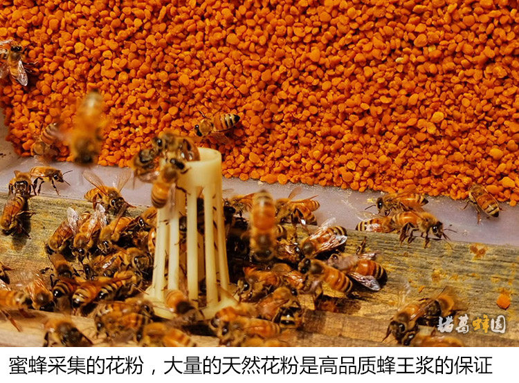 15-Bee Farm 6139904_094817098354_2.jpg