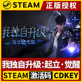 【我独自升级:起立·觉醒 11.22发售】Steam正版游戏授权CDK