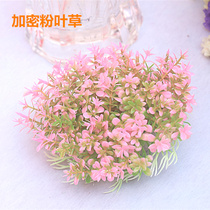 Simulation water grass fish tank decoration plastic lawn soft small flower turtle Jar Ornaments fake flowers and grass encryption foreground small lawn