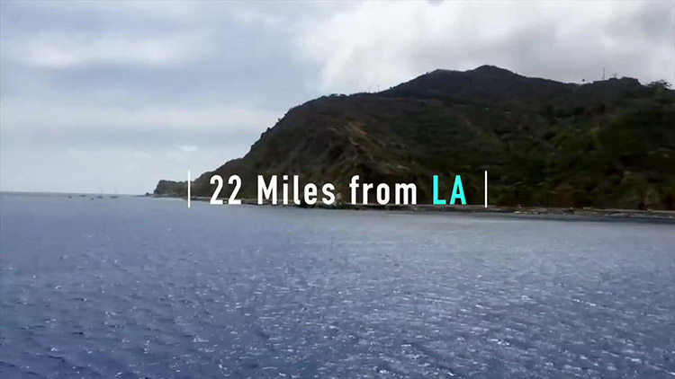 Final Cut Pro X插件TitleMations创意字幕标题特效动画28组FCPX