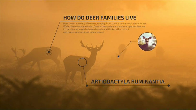 FCPX插件：50种线条呼出文字标题介绍注释解说动画效果