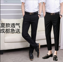 Summer mens trousers small feet ankle-length pants slim business straight youth mens trousers professional dress trousers