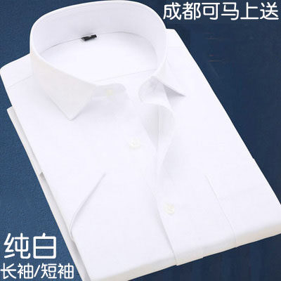 Summer men's shirt sashimi pure color shirt business free of hot career white inch shirt short sleeve positive dress youth cotton big code-Taobao