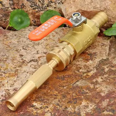 Portable all copper four or six minutes one inch hose plug joint ball valve switch high pressure water gun watering car washing nozzle