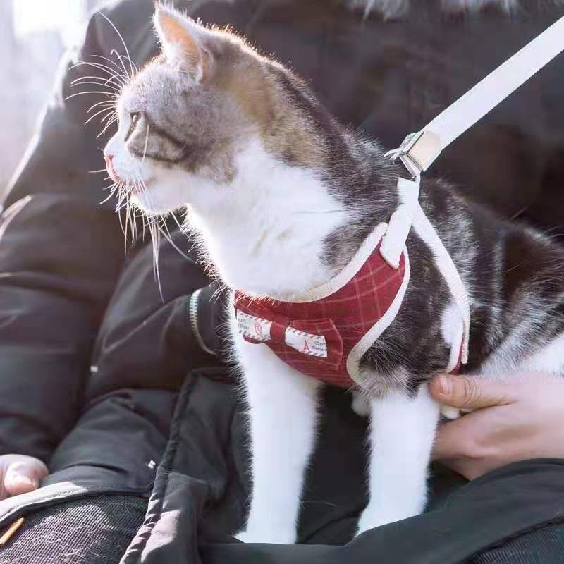 Kitty Traction Rope Small Cat Leash Cat Rope Anti-Escape Cat Chain Sub cat rope Cat Rope Traction Cat with National