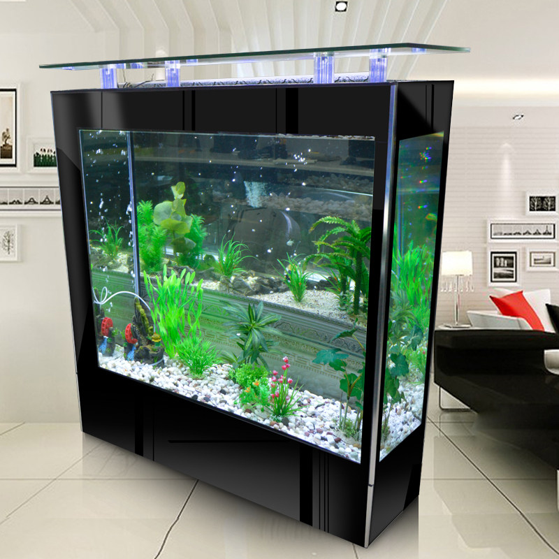 eco fish tank