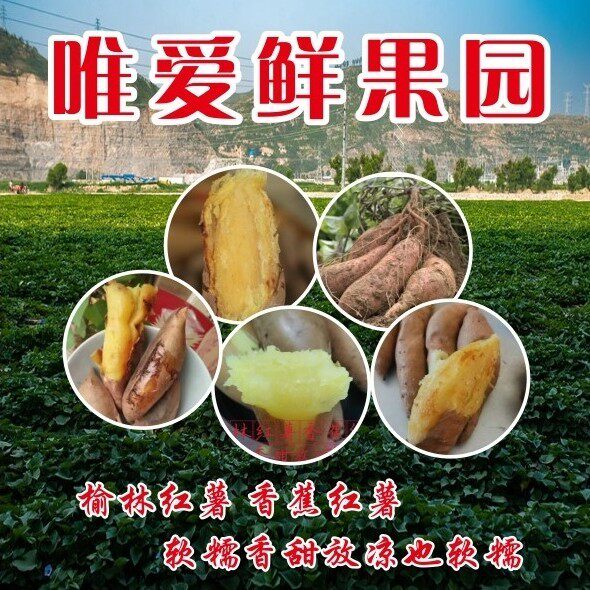 唯爱鲜果园