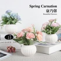 Mothers Day carnation bouquet simulation flowers potted desktop ornaments office gifts gifts fake flowers green flowers
