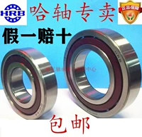 Harbin Angle Contact Ball Bearings 7200 7201 7202 7204 7205 7206ACP5P4DB