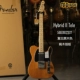 Гибридный II Tele Maple Vintage Retro