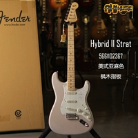 Гибрид II Сент -Кленово дерево Американское дерево