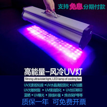 Portable LED no-film glue UV curing lamp High power UV ink Green oil curing ultraviolet sunscreen exposure lighting tube