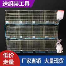 Bold 12-bit rabbit cage breeding rabbit cage 12-bit female rabbit cage free cleaning rabbit cage 24-bit commercial rabbit cage
