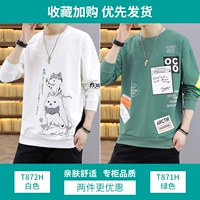 T872H White [обычный]+T871H зеленый [обычный]
