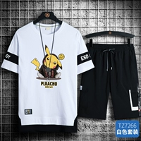 TZ7266 Белый набор