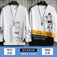 T872 White+T868 White