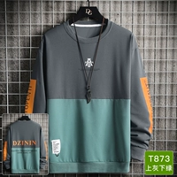 T873 Серый зеленый